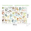 Alphabet Animals wall sticker